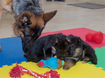 Yara with Orange (girl) and Red (boy)