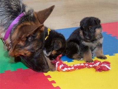 Yara with Yellow (girl) and Purple (boy)