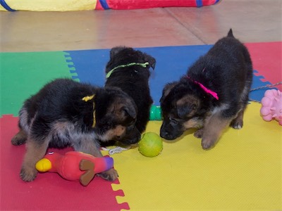 Yellow (girl), Green (boy) and Pink (girl)