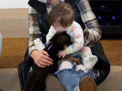 Purple meeting a very young child for the first time.