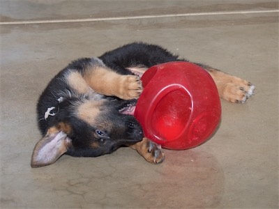 White playing with the ball.