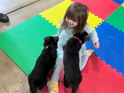 Pink and Green meeting children for the first time.