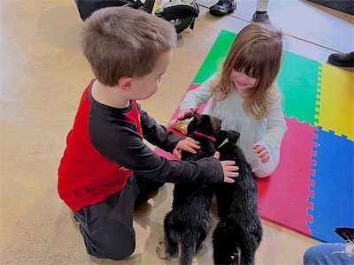 Pink and Green meeting children for the first time.