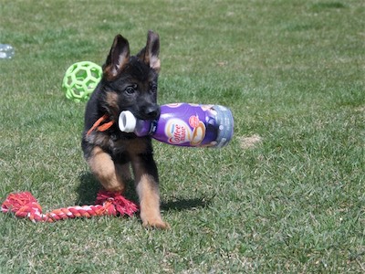 Orange carrying a bottle with someone coming from her left.