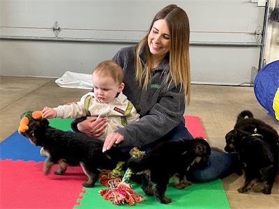 Taylor's son and the White and Purple puppies (females).