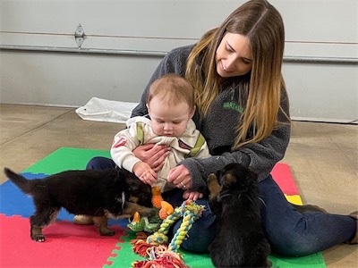 Taylor's son and the White and Purple puppies. (females)